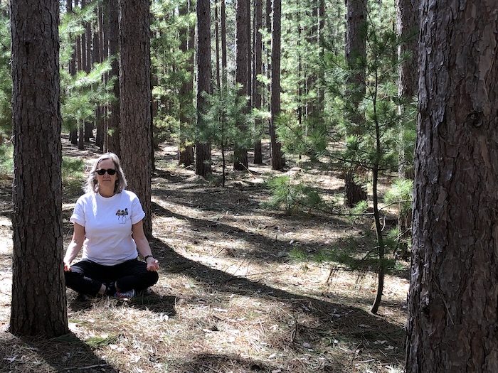 women doing easy pose surrounded by trees